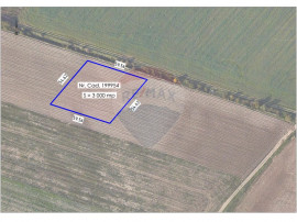 De V&acirc;nzare teren extravilan, 3000 mp, zona Aeroport