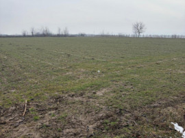 Teren de 9000mp, la intrarea in Filiasi ,la 300m de str. Rac