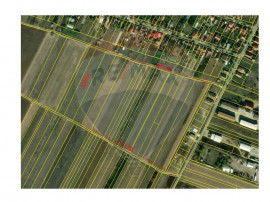 Teren 5,700mp Santion / None