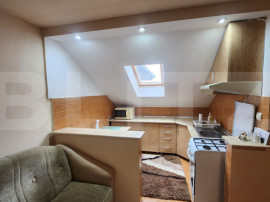 Apartament 1 camera, zona Valeria Peter Predescu