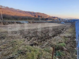 Teren intravilan 7,15 ari - construcție casă, zonă liniș