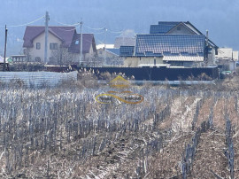 De vanzare teren intravilan Hemeius Bacau