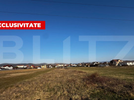 Teren intravilan, suprafața utilă de 1666 mp, zona Micesti