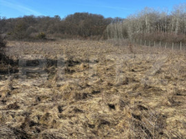 Teren intravilan, 4300 mp, utilitati la 500 m, Valea Garbau