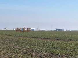 Teren intravilan, 5000 mp, zona Peugeot