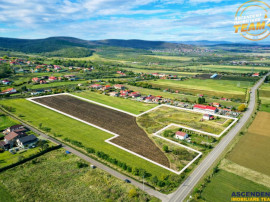 Proprietate remarcabila: 32.000mp teren, acces direct DJ112,