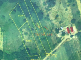 TEREN EXTRAVILAN | 1730 MP | UILEACUL DE CRIS | BIHOR