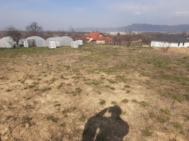 Satu Nou de Jos, 5 ari teren