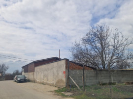 Teren de v&acirc;nzare 1000 mp &ndash; Malu Mare