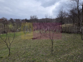 Teren intravilan 800 mp de vanzare in Lunca Mare