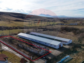 Teren industrial 1.729 mp I Demolare + construcție hală...