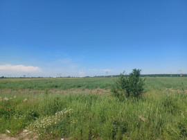 Teren intravilan, 12000 mp, Ciorogarla, jud. Ilfov