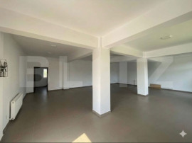 Spațiu comercial | Zona Sanovil &ndash; Viișoara | Parter | 12
