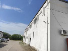 Hală industrială 960 mp, curte 1300 mp, panouri fotovoltai