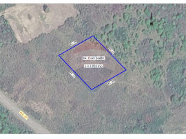 De v&acirc;nzare teren intravilan 1,955mp , Paleu