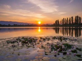 TEREN SILISTEA SNAGOVULUI 5000mp iesire LAC 30ml