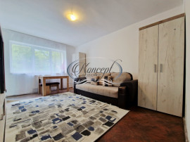 Apartament decomandat la cheie ln apropierea Piatei Flora