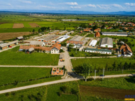 FILM! Complex agrozootehnic cu traditie, echipat pretios p