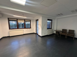 Vila 7 camere Floreasca spatiu birouri