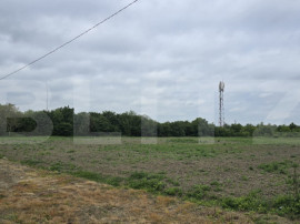 Teren extravilan, 5000 mp , zona Lucian Blaga
