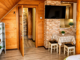 Apartament la mansarda, 1 camera, 25 mp - Piata Morii