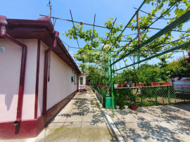 CASA POIANA | PANOURI SOLARE | TEREN 800 MP