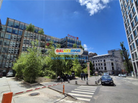 Matei Millo | Cismigiu | Calea Victoriei | 5 Camere | 160mp