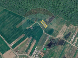 Vanzare Teren Intravilan Padure Izvorani (prin) Strada Fl...