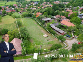 Film! 2.700 mp:refugiu al linistii si oportunitatii imobilia