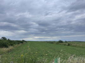 Teren intravilan 5.700 mp | Copăceni, Cluj | DN1 |