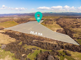 Plantație Bio de mure și zmeură 26,4 ha în Lipova
