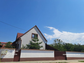 Casa cu mansarda, Vladimirescu
