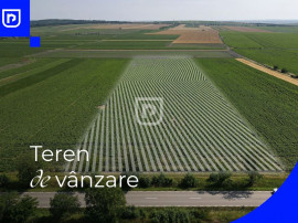Teren - Orășeni Deal, Curtești | BOTOȘANI | 10.000mp