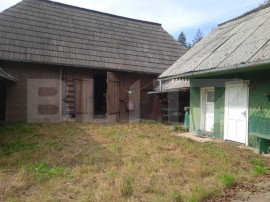 Casă individuala ,2500 mp teren, &icirc;n Putna
