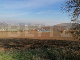 Teren extravilan 5000 mp, Uricani