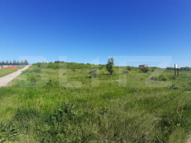 Teren intravilan 31.000 mp, zona Hanul Doctorului