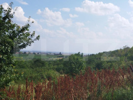 Teren, 3600mp, Drumul Vinului