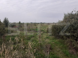 Teren de 39600 mp, PUZ, l&acirc;ngă Staţia de Epurare