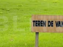 Teren intravilan, E85 Romanesti, 3931mp