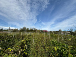 Teren intravilan, livada mixta cu anexa, Preutesti Suceava