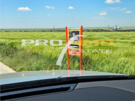 Plaja Corbu-Teren 4200mp. la numai 8 euro /mp. Soseaua asfal