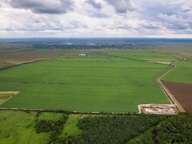 Teren arabil de 1074 hectare &icirc;n Ialomița