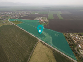 Teren 76.000mp &icirc;ntre S&acirc;ntana și Caporal Alexa