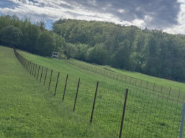Teren intravilan, 2500mp, Voievodeasa, Marginea