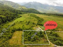 Teren intravilan 3900 mp Porumbacu de Sus, Sibiu