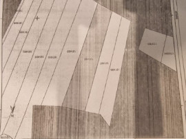 Teren intravilan Poiana Mică