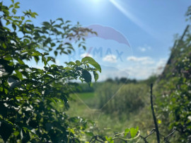 Teren intravilan 3.765 mp cu casă &ndash; Bodești de Jos