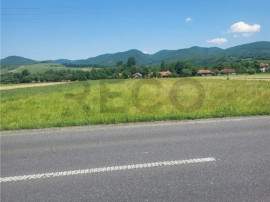 RECO , teren intravilan ,Zona Borod, Bihor