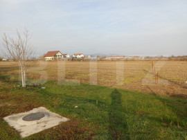 Parcele Teren 610 mp, zona pepiniera Cornesti