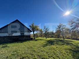 Teren extravilan 2000mp in T&acirc;rsa